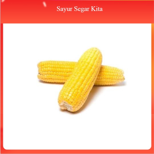 

Jagung Manis Kupas 2 buah