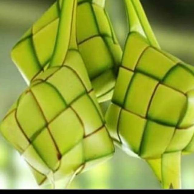 

Janur Daun Bungkus Ketupat Rempah Herbal