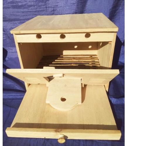 gupon merpati sedang .