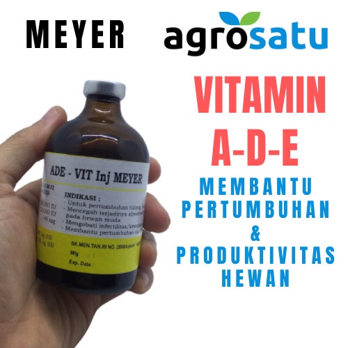 Vitamin ADE Vit Inj Meyer Sejenis VITOL Obat Produktivitas Proses Penyembuhan Kekurangan Nutrisi dan