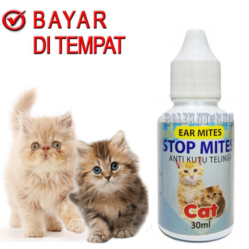 OBAT SAKIT  TELINGA KUCING KUTU ANTI  SAKIT KUPING KUCING STOP MITES