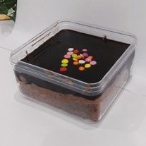 

Dessert Box Coklat
