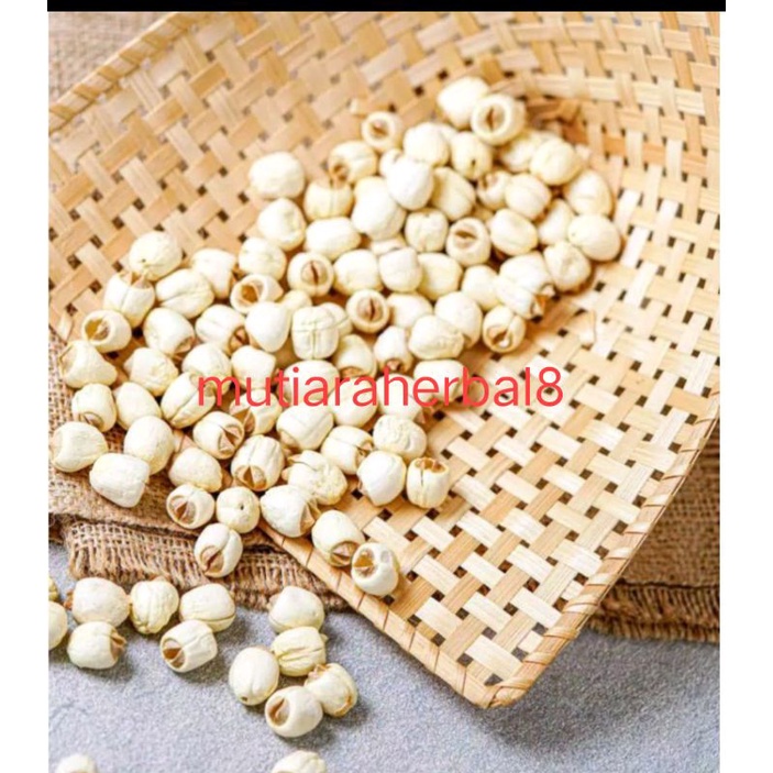 

Biji Teratai / Lotus seed/ Lien zi import dari singapore 100gram