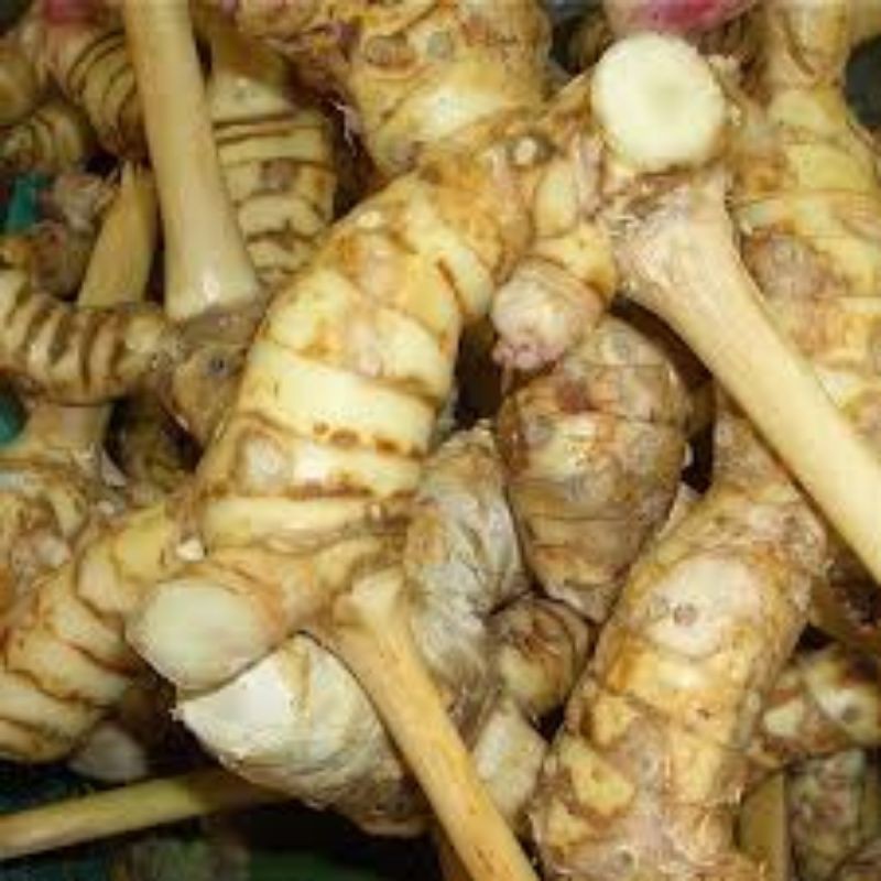 

LENGKUAS BUBUK MURNI 250 GRAM