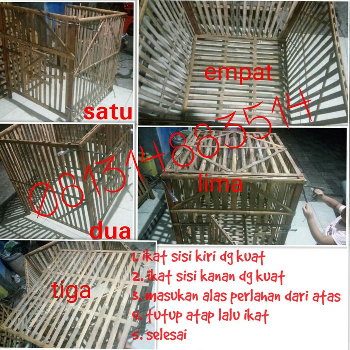 Cuci Gudang Kandang Ayam Bebek Kelinci Kucing Anjing Mini