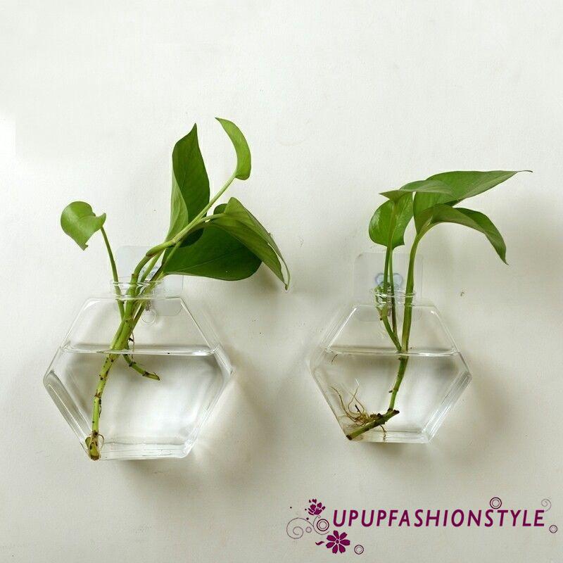  Pot  Vas Bunga Terrarium Gantung  Bahan Kaca  Shopee Indonesia