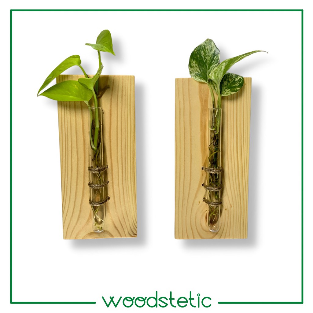 Vas Bunga Kaca Pot Tanaman Air Kaca Gantung Dinding Hanging Shelves Planter Dried Flower Rustic