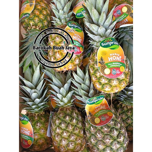 

NANAS HONI/SUNPRIDE 1 BUAH