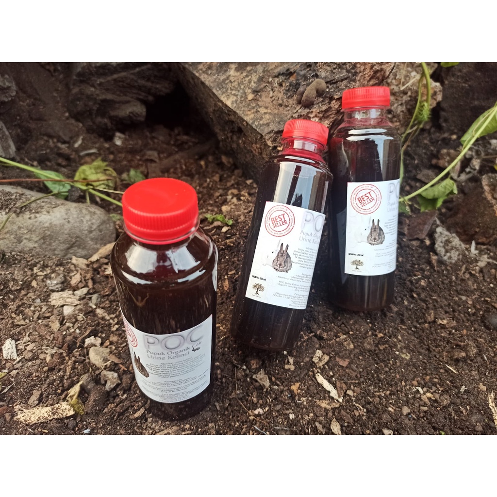 POC Urine Kelinci fermentasi