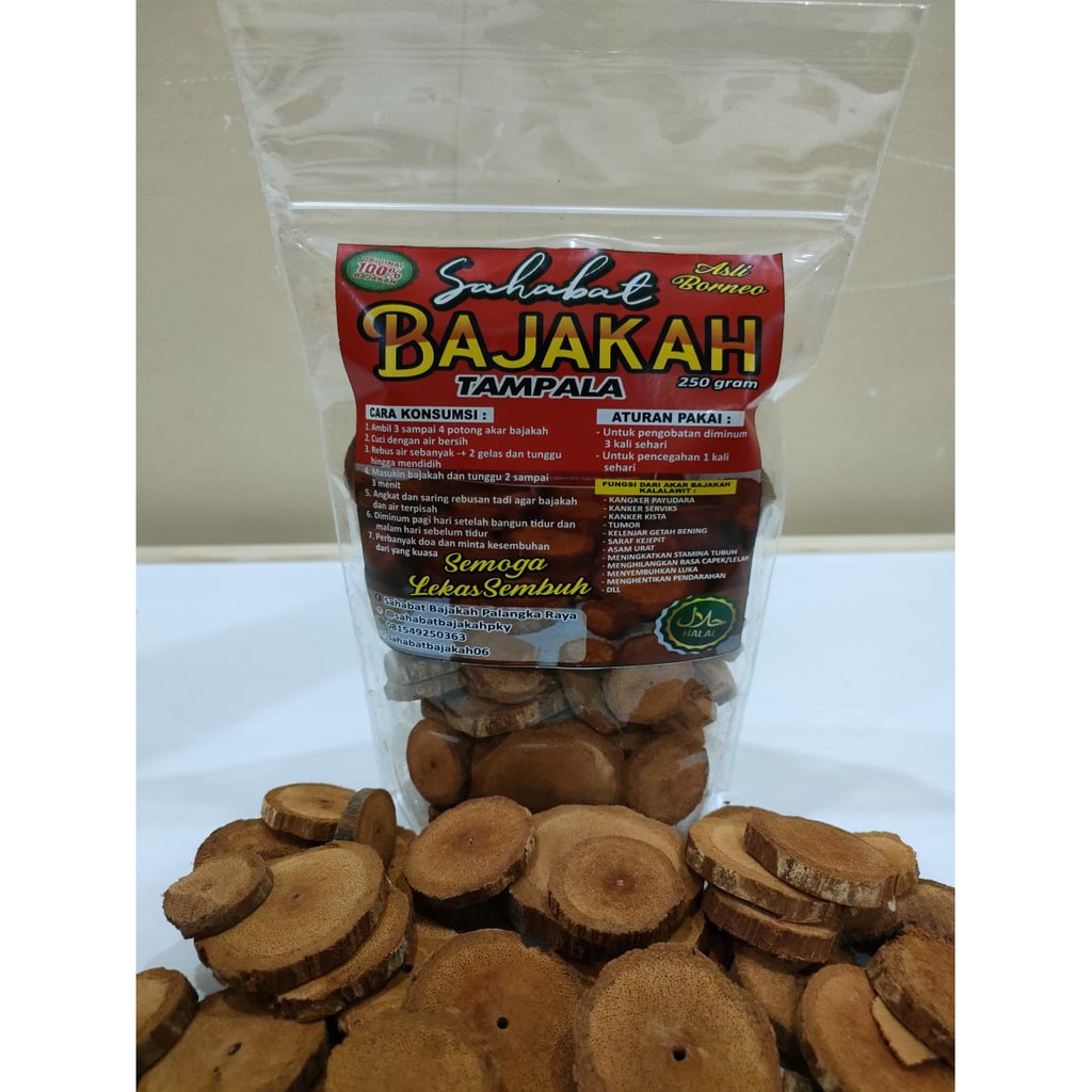 

Akar Bajakah Tampala 100% Asli Original Borneo 500gr