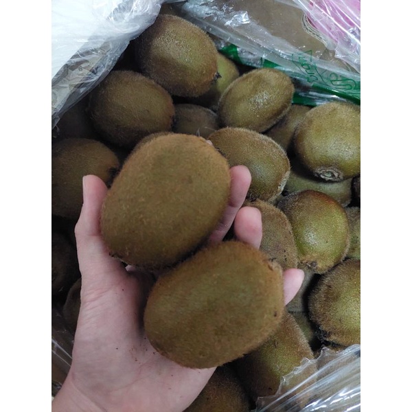 

KIWI HIJAU IMPORT. TERMURAH. FRESH SEGAR KIWI HIJAU
