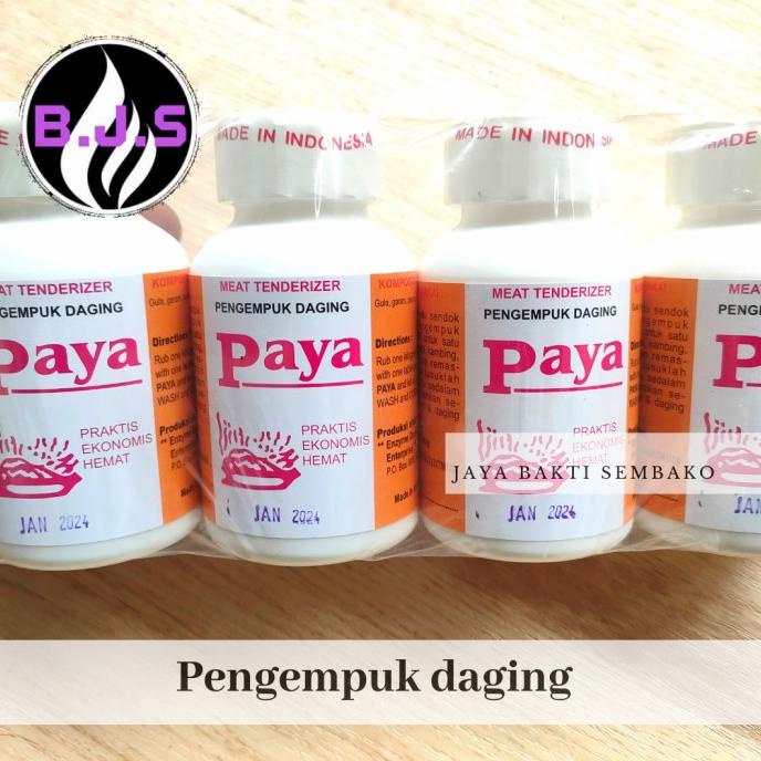

TREND PAYA PENGEMPUK DAGING/MIET TENDERIZER 1BTOL STOK TERBATAS