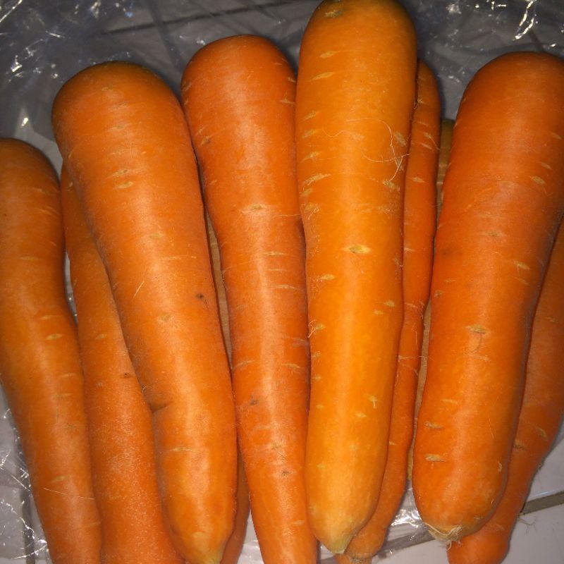 

wortel import berastagi fresh termurah 250 gram 500 gr 1 kg