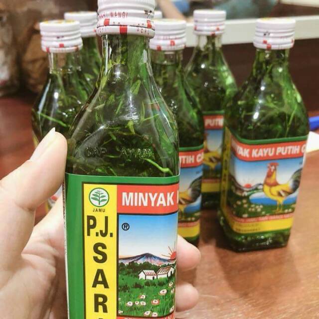 Minyak kayu putih cap ayam rendam caocao