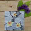 paper napkin / napkin decoupage