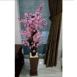 Bunga sudut / Sakura