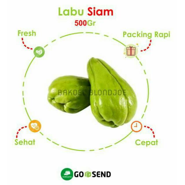 

LABU SIAM / MANISA / CHAYOTE / FRESH VEGETABLES / VEGETABLES / SAYUR SAYURAN SEGAR 500GRAM