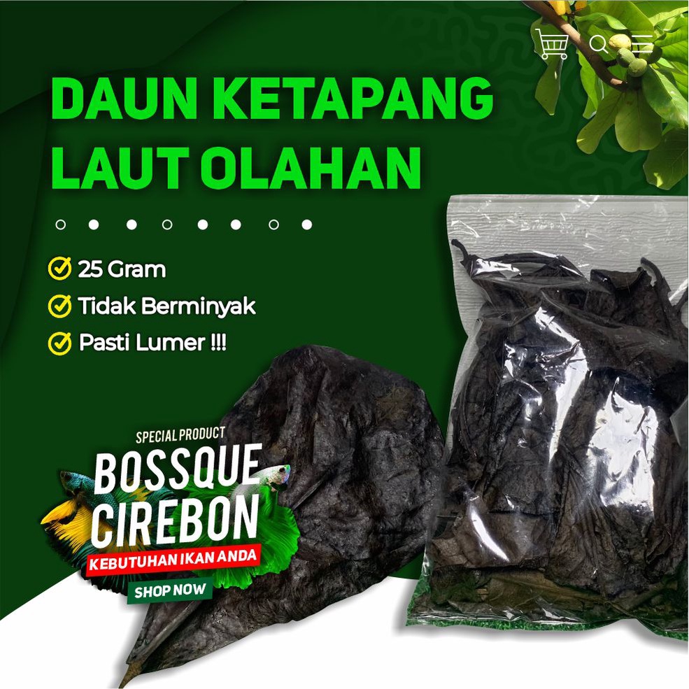 Jual Daun Ketapang Laut Olahan Fermentasi Super Pekat Lumer Siap Pakai Perawatan Ikan Hias