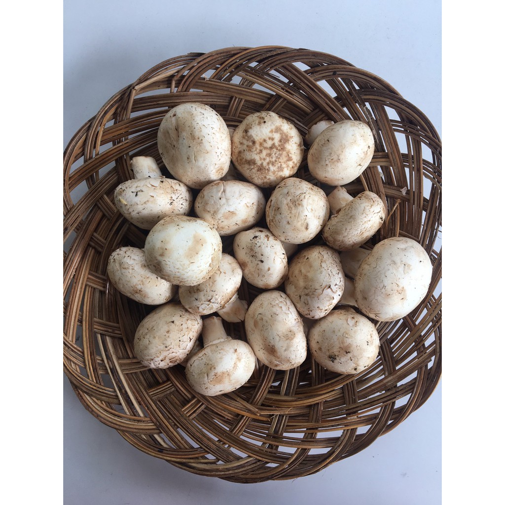 

Jamur Kancing 100 Gram