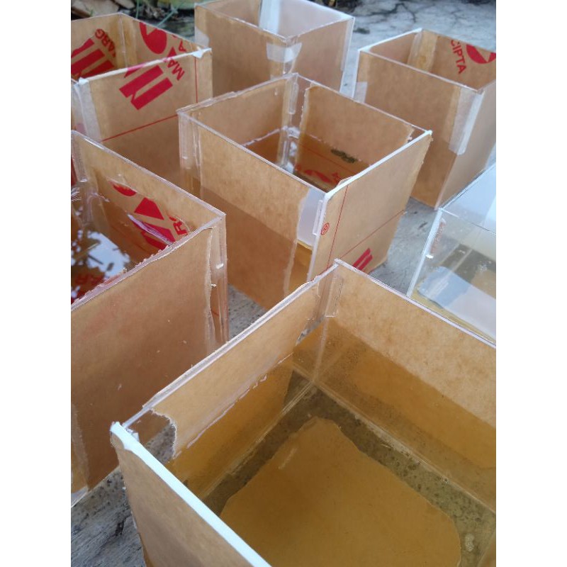 SOLITER SELFIE AKRILIK