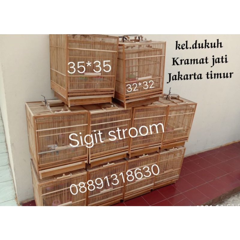 sangkar penjinakan  wambie