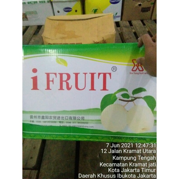 

buah fir cili 96 jual per dus