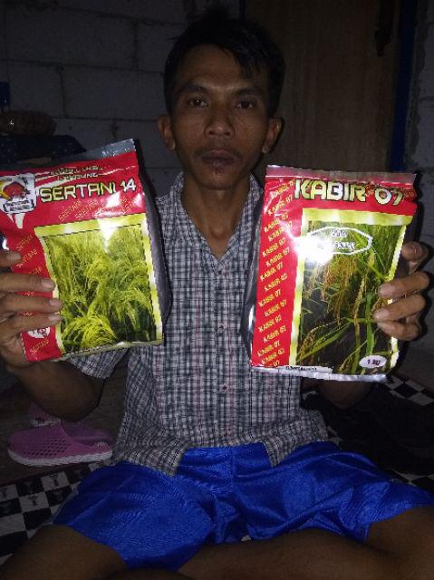 Benih Padi Unggul Bibit Sertani 14