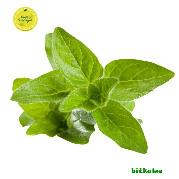 

Oregano Organik 50 gr (PO)