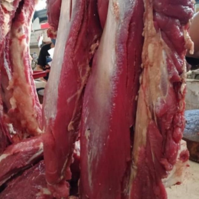 

DAGING SAPI FRESH FSDGDF252