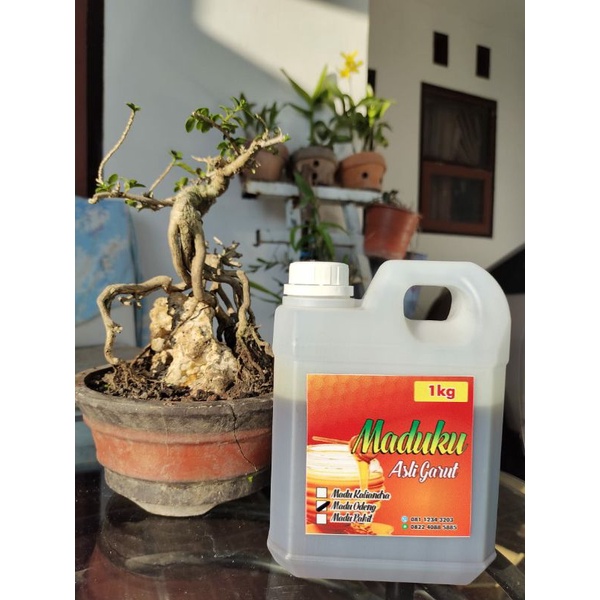 

MADU ODENG,KALIANDRA,PAIT