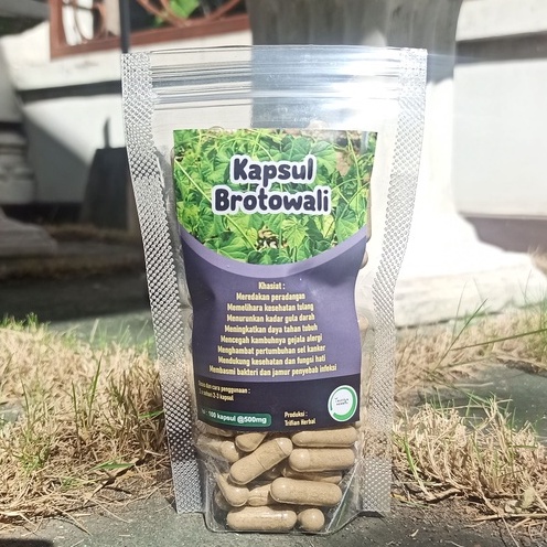 Kapsul Brotowali  (isi 100) Trifian Herbal