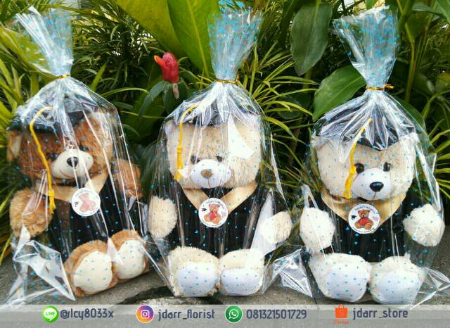 Boneka Wisuda Teddy Bear Murah