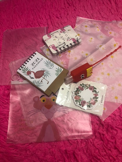 [tu] Kantong Zip Lock Transparan Bunga Daisy - Hw0115