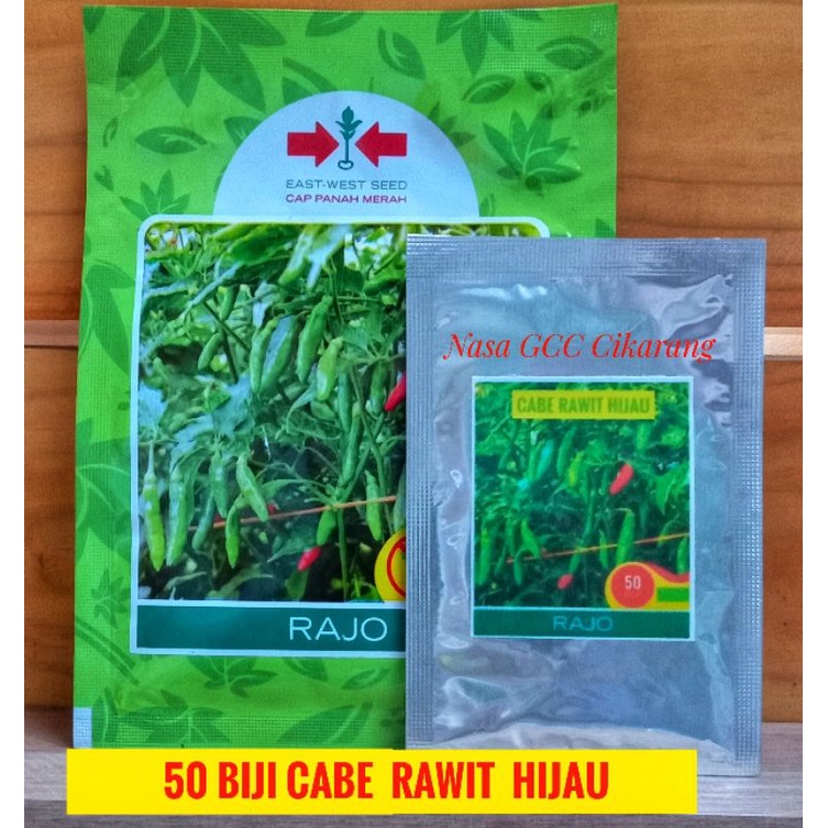 BENIH CABE RAWIT HIJAU BIJI CABAI RAWIT IJO  RAJO