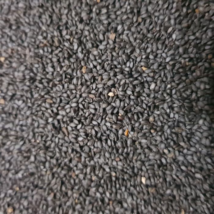 Biji Selasih Yutakachi 1kg / Basil Seed Import Per 1 Kg GROSIR KILOAN