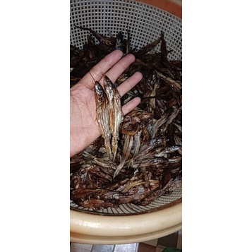 

ikan salai tundik / baung kecil