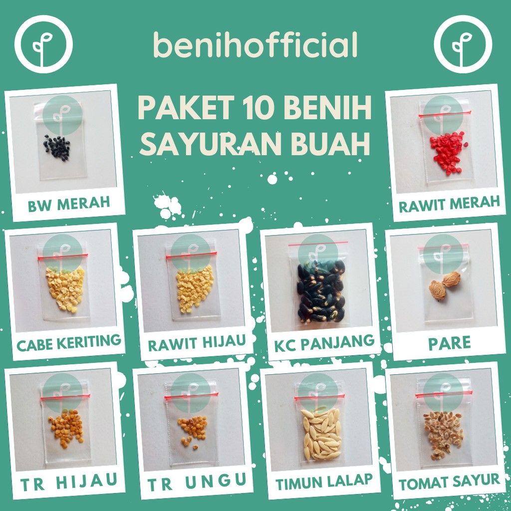 Bibit Sayuran 10 Macam Benih Sayur Buah Paket Lengkap Cabe Rawit Terong Timun Tomat Kacang Bawang-1