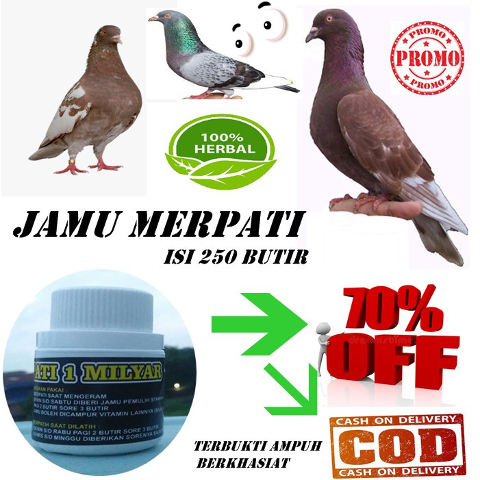 Isi 250 Butir 1 Milyar Jamu Merpati Balap Jamu Merpati Tinggi