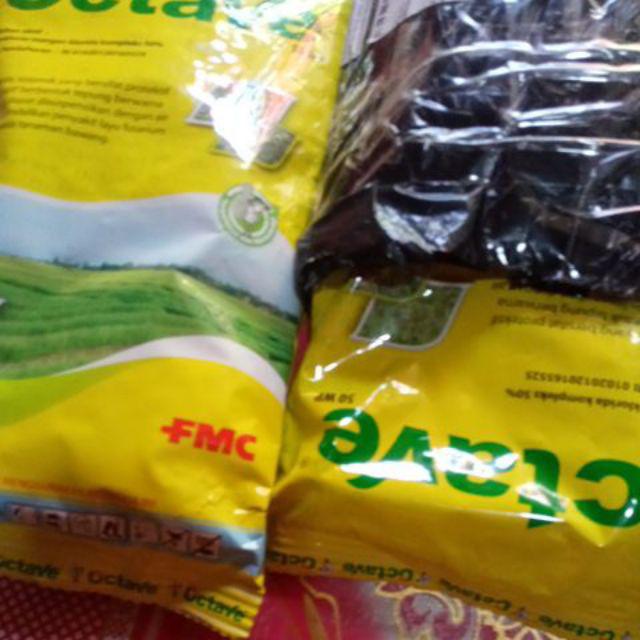 Octave 50wp Fungisida 250gr Untuk Layu Fusarium