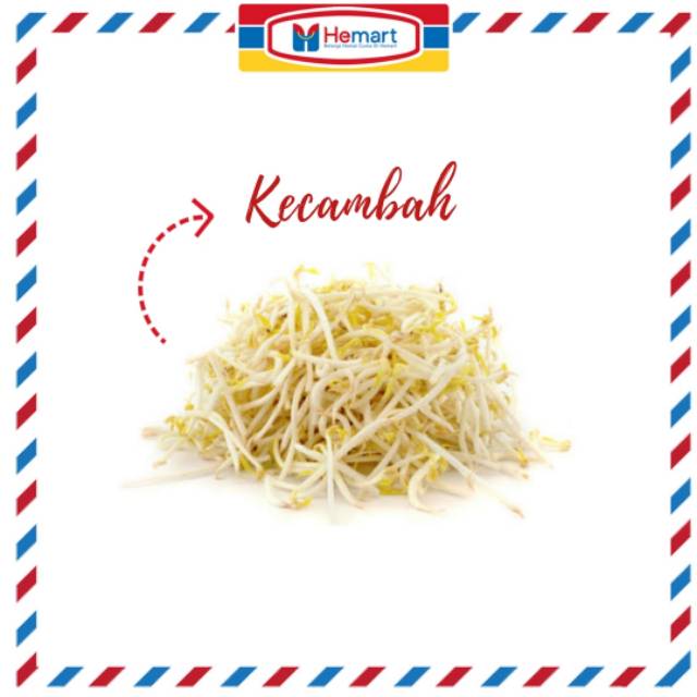 

PALING MURAH !!! KECAMBAH BERAT 500 GRAM / SAYUR SEGAR HEMAT