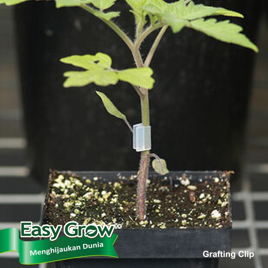 Grafting Clip