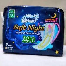 Charm Safe Night 29cm