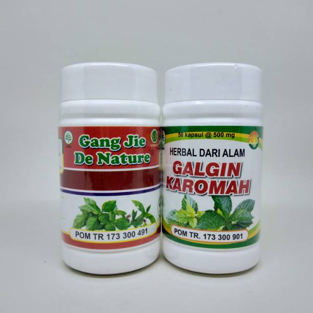 Obat Batu Ginjal De Nature