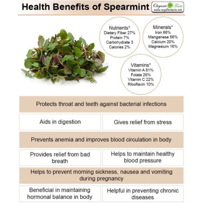 Spearmint Lemongrass Tea : Spearmint With Lemongrass Tea 30 Tea Bag