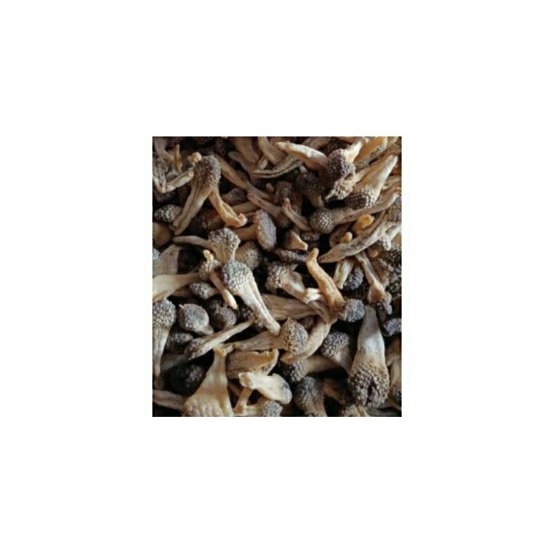 READY EMPOT AYAM PUTIH ORIGINAL