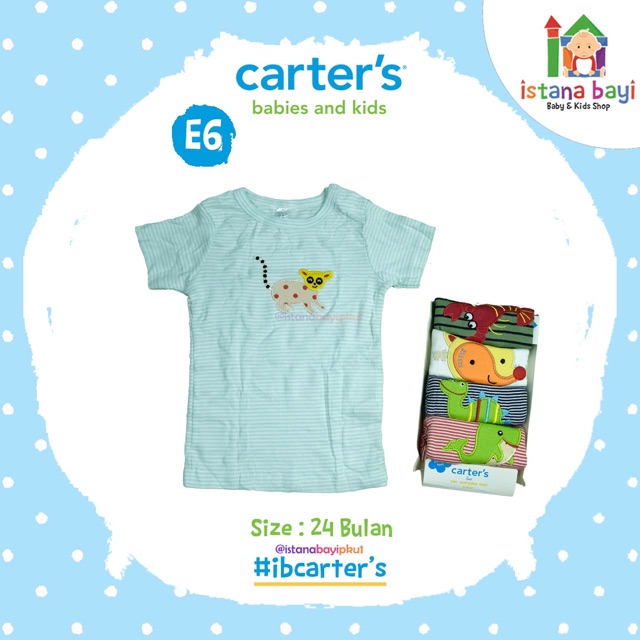 carterlove Tee Premium 5in 1 - Carter Tee Premium 18-48 Bulan Boy