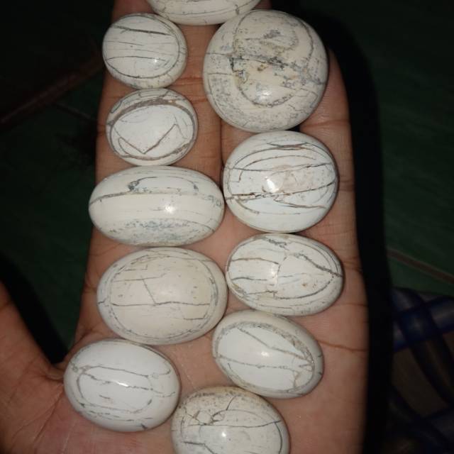 Batu anti wisa hisap racun