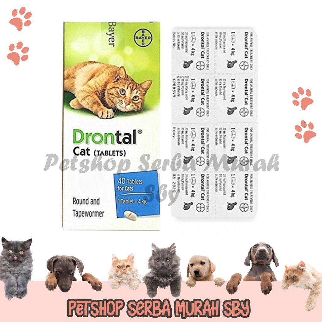 Drontal Cat - Obat Cacing Kucing 1 tablet