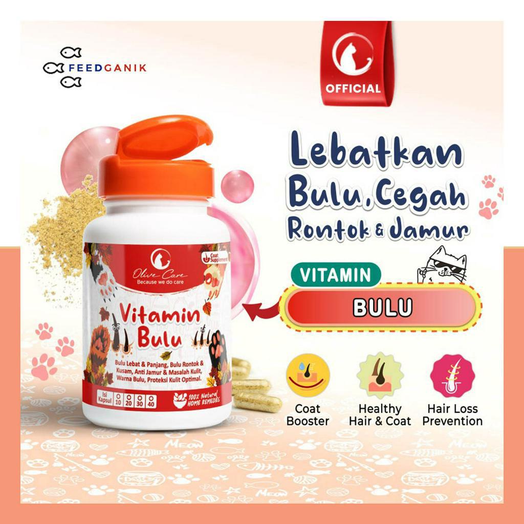 OLIVE CARE Vitamin Kucing BULU ( Harga per kapsul ) | Vitamin Pelebat dan Penumbuh Bulu Kucing, Obat