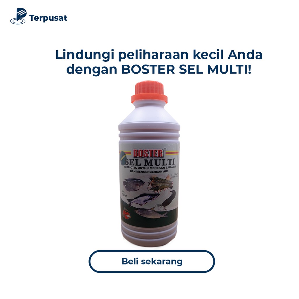 Image of Boster Sel Multi 1 Liter Obat ikan Probiotik Mencegah Bau Amis #6